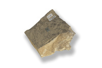 M 01843
<br/>
<br/>
<em></em>